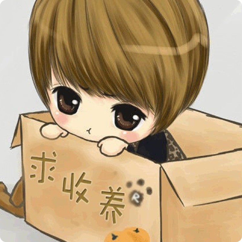 qq_陈Dh41