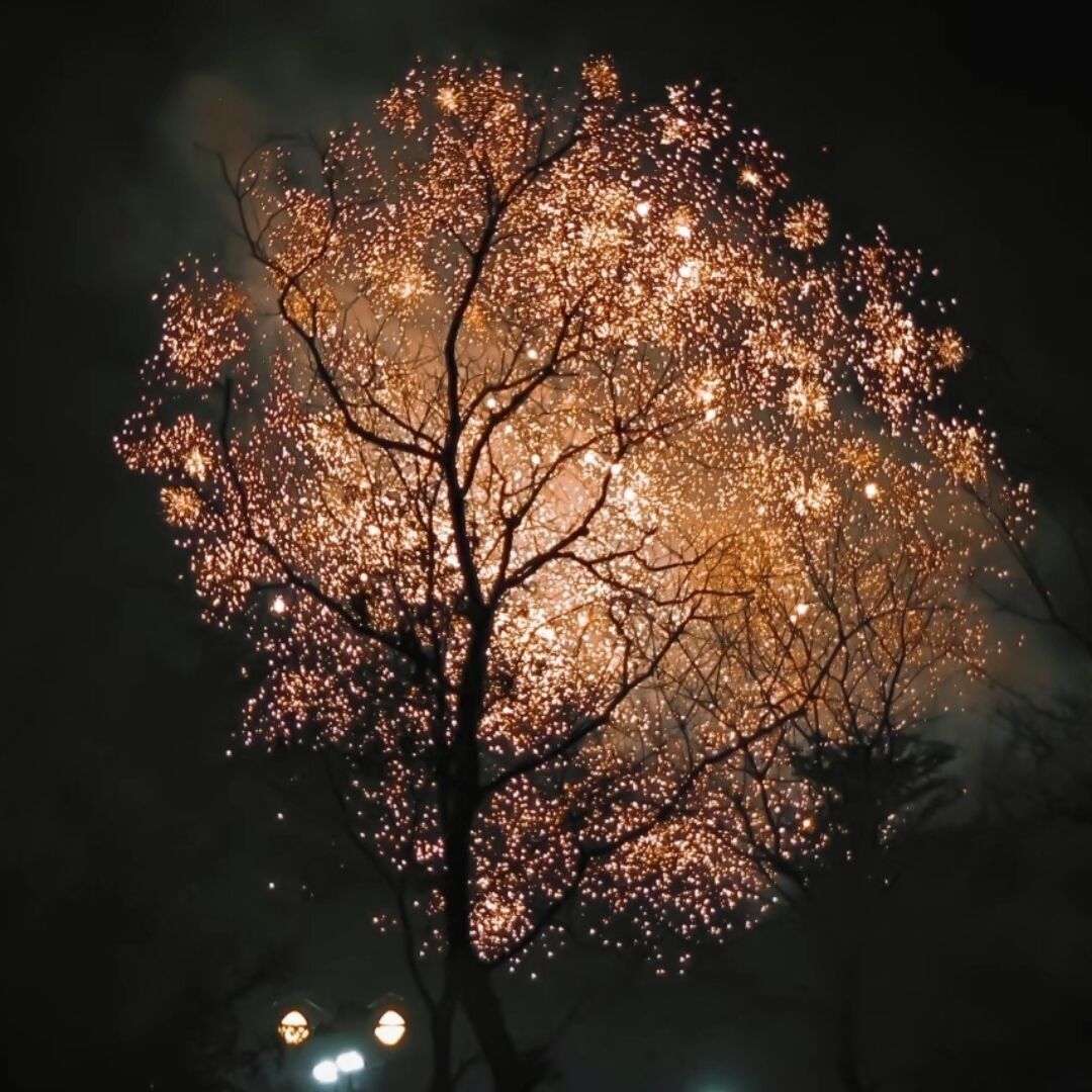qq_芃高64