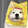 limingfv-【TITAIKE】T太科网