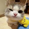 jack123_-【TITAIKE】T太科网
