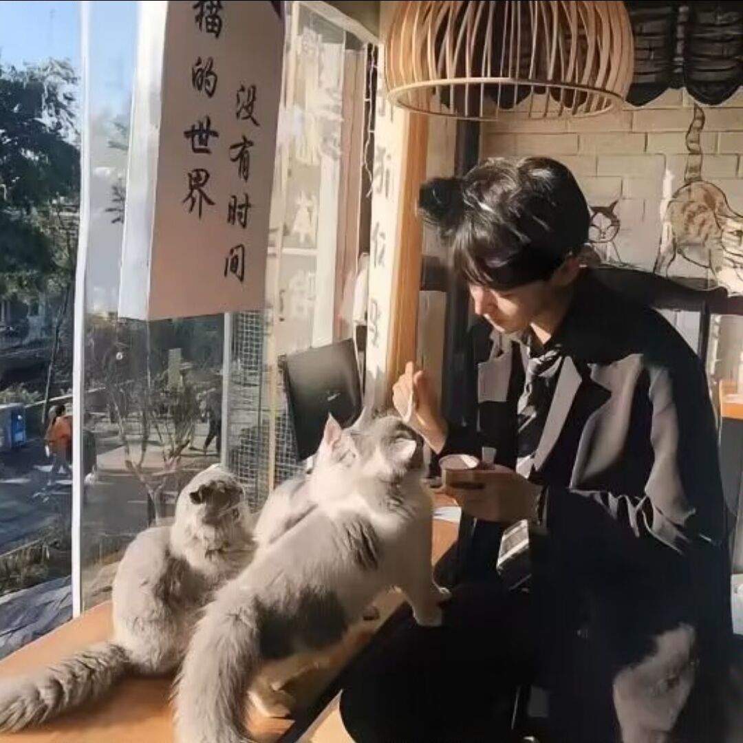 qq_为两万四励志考人大37