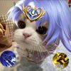 123LBY231-【TITAIKE】T太科网
