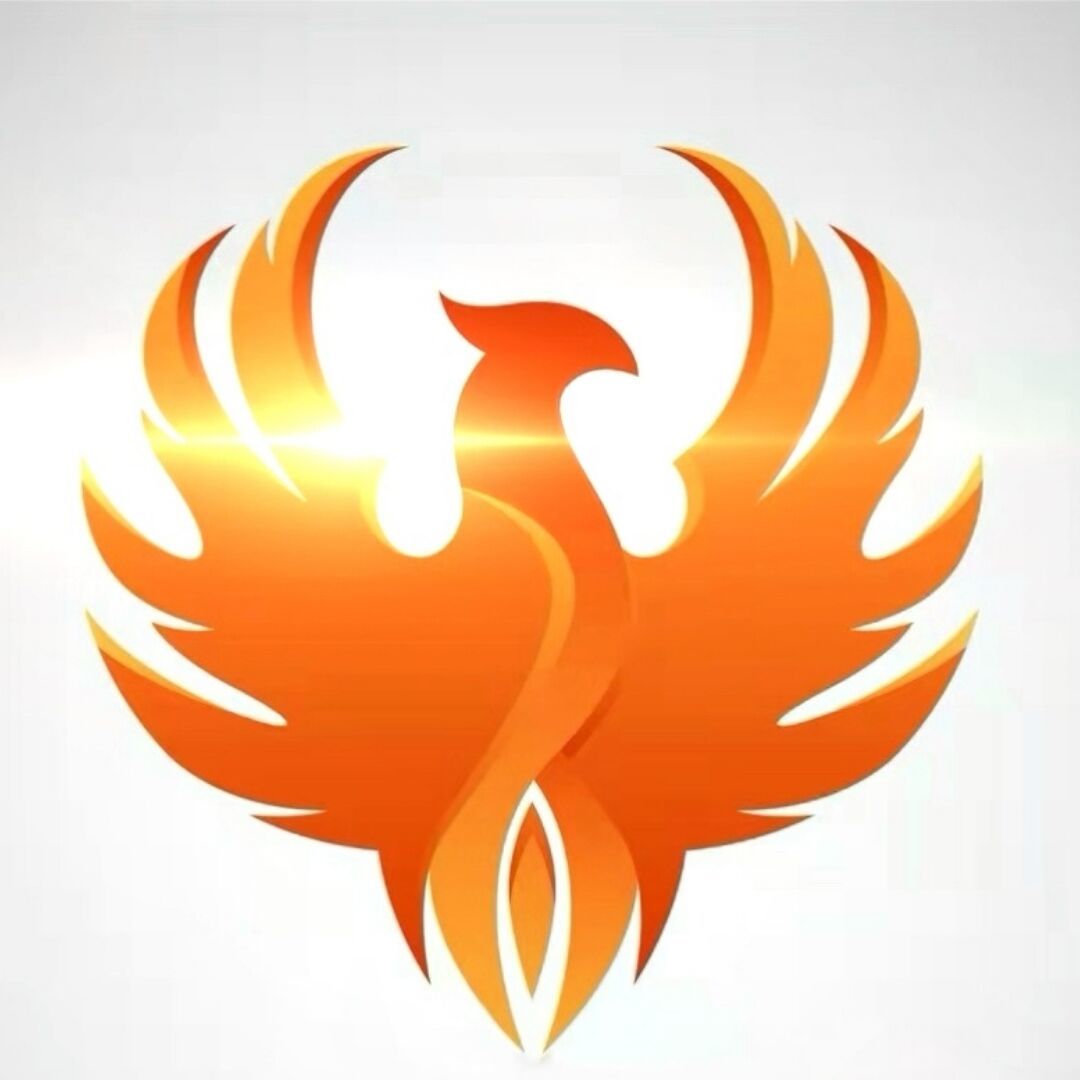 蚁与象制版梁波