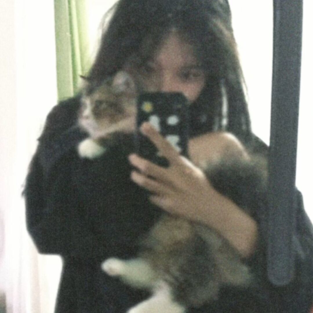 qq_绯闻17