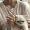 漆黑之翼-【TITAIKE】T太科网