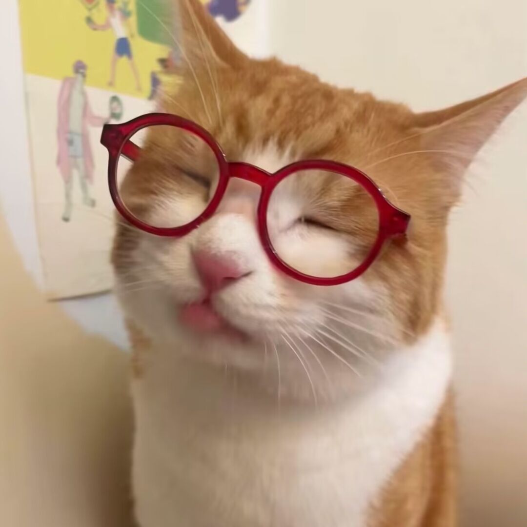 qq_粦车20