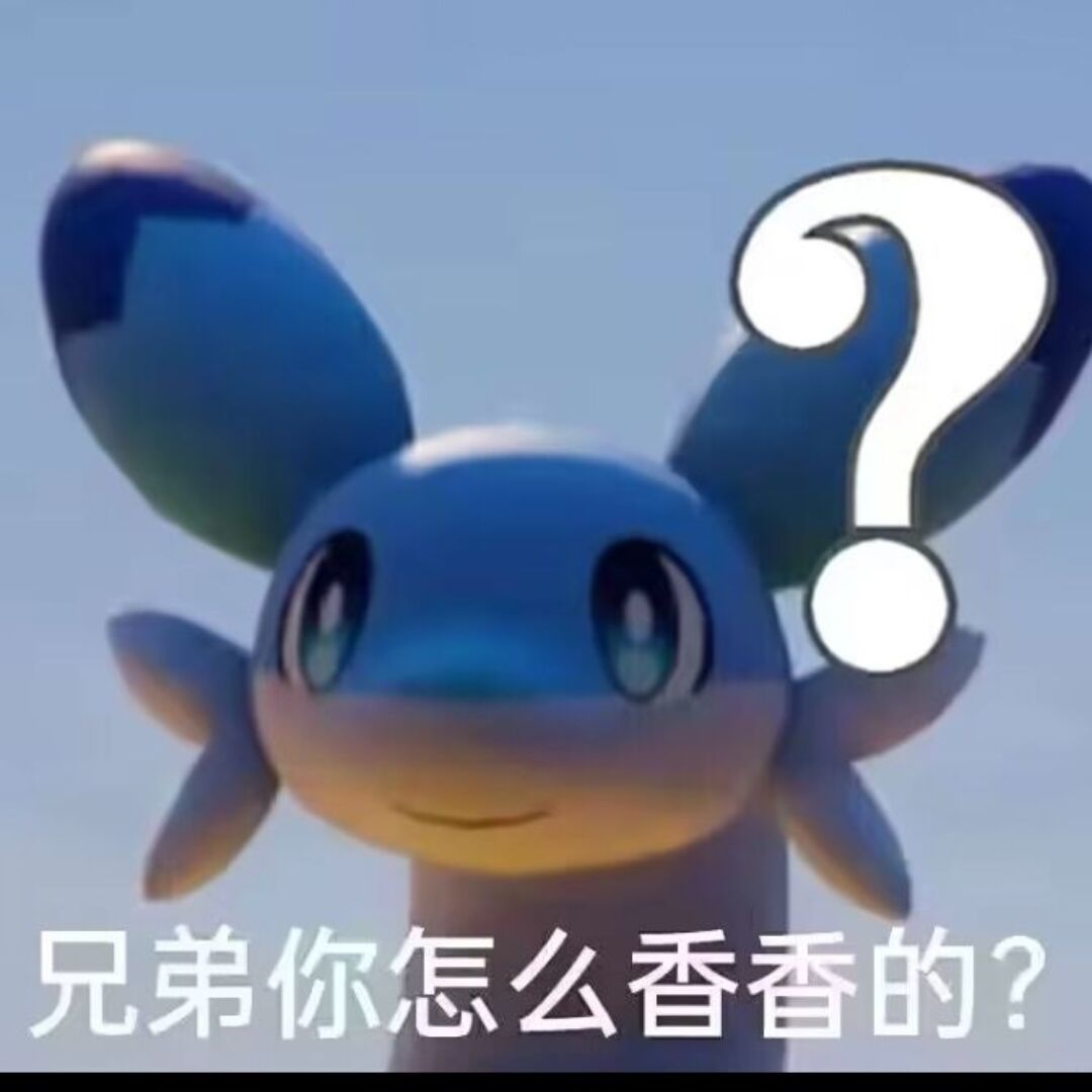qq_毛球15
