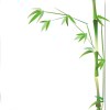 十年用户-柱子三国-柱子工作室