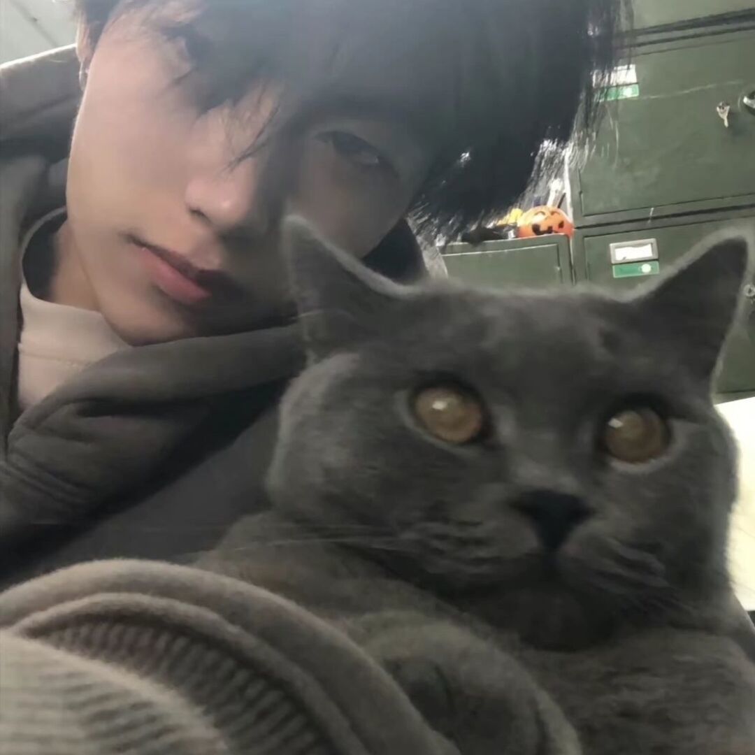qq_。。。38