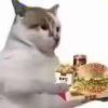 用户95483772-iPA资源站