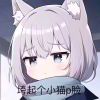 想飞的企鹅-【TITAIKE】T太科网