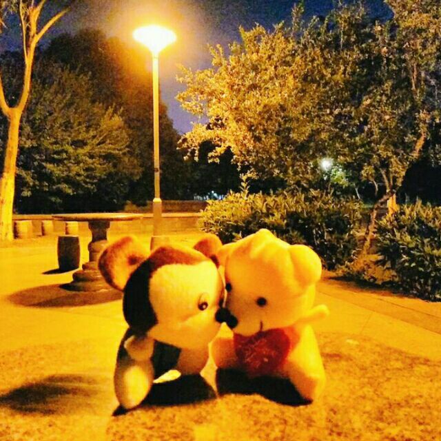 qq_琪琪13