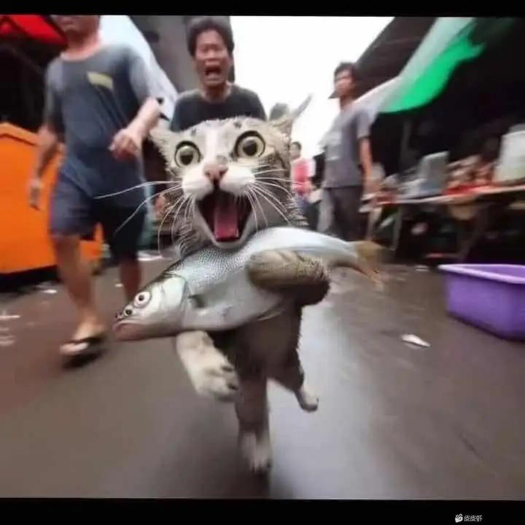 qq_ゞ 正在缓冲99%64