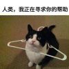 gagerss-【TITAIKE】T太科网