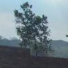 QB2008-【TITAIKE】T太科网