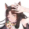 adsfsaf-【TITAIKE】T太科网