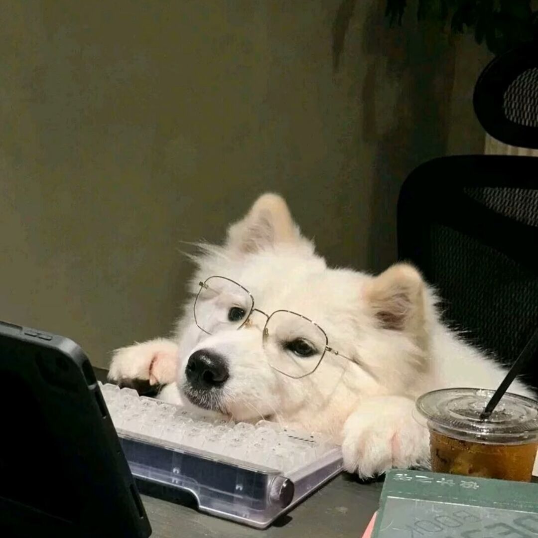 用户头像