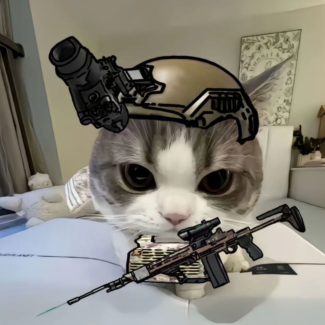 qq_暗区猫猫75
