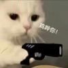 plmn-【TITAIKE】T太科网
