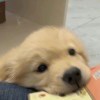 QIUUUU UUU-【TITAIKE】T太科网