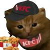 青春猪头美少年不会遇见体育生学姐-【TITAIKE】T太科网