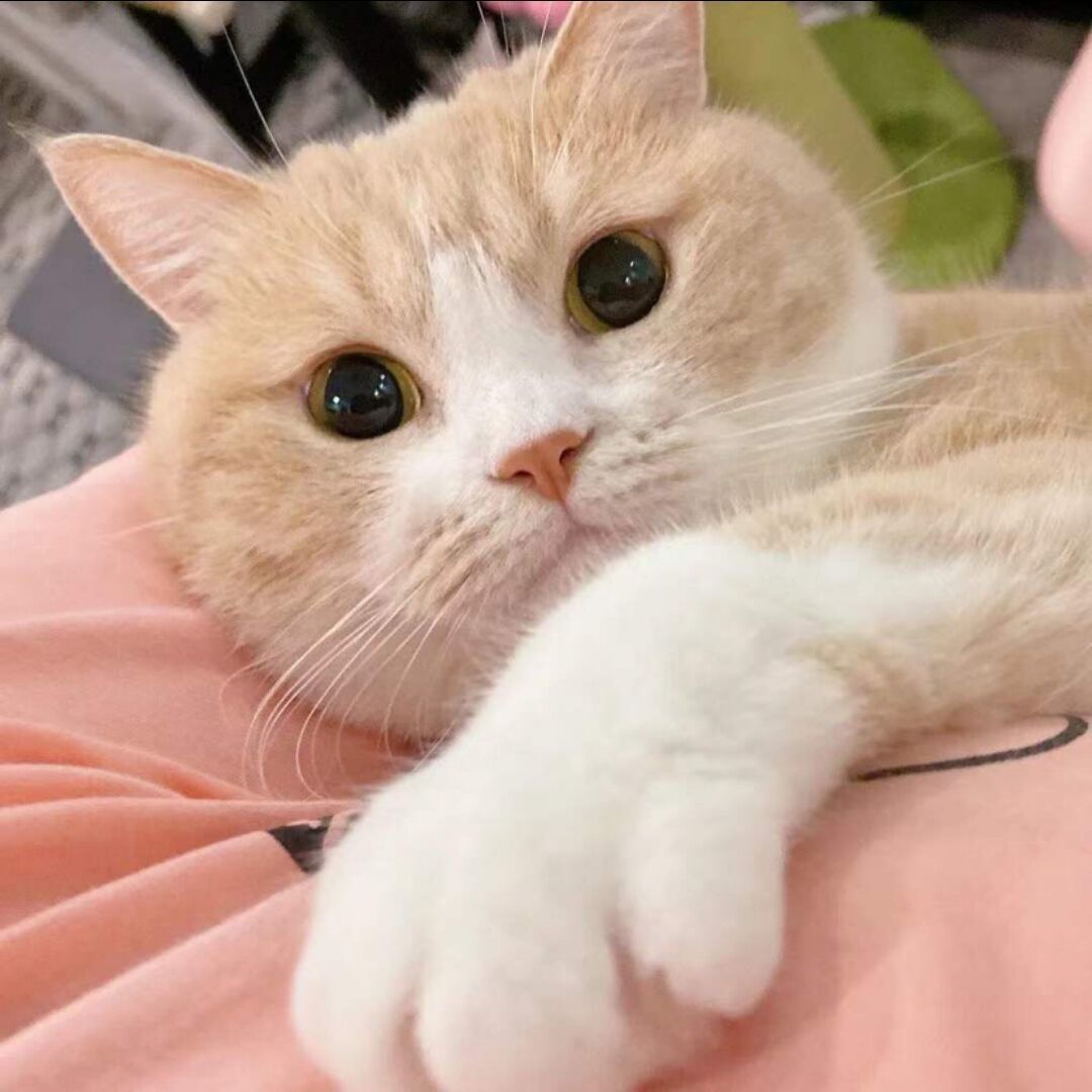 qq_玖玖l75