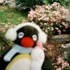 Awesome_5804-【TITAIKE】T太科网
