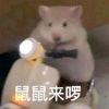yeu_shushu - 极核GetShell