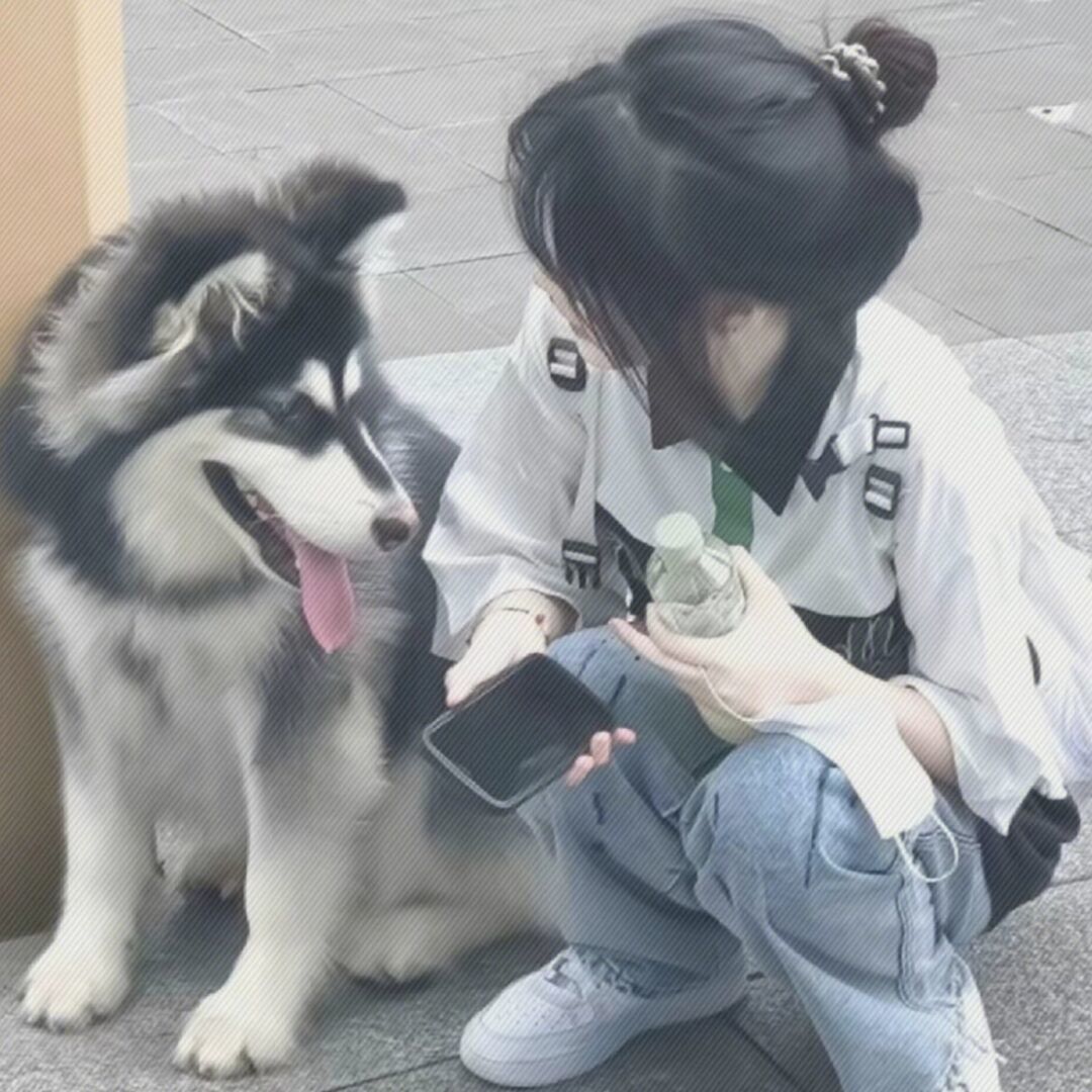 用户头像