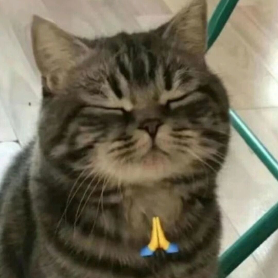 qq_蘑菇98