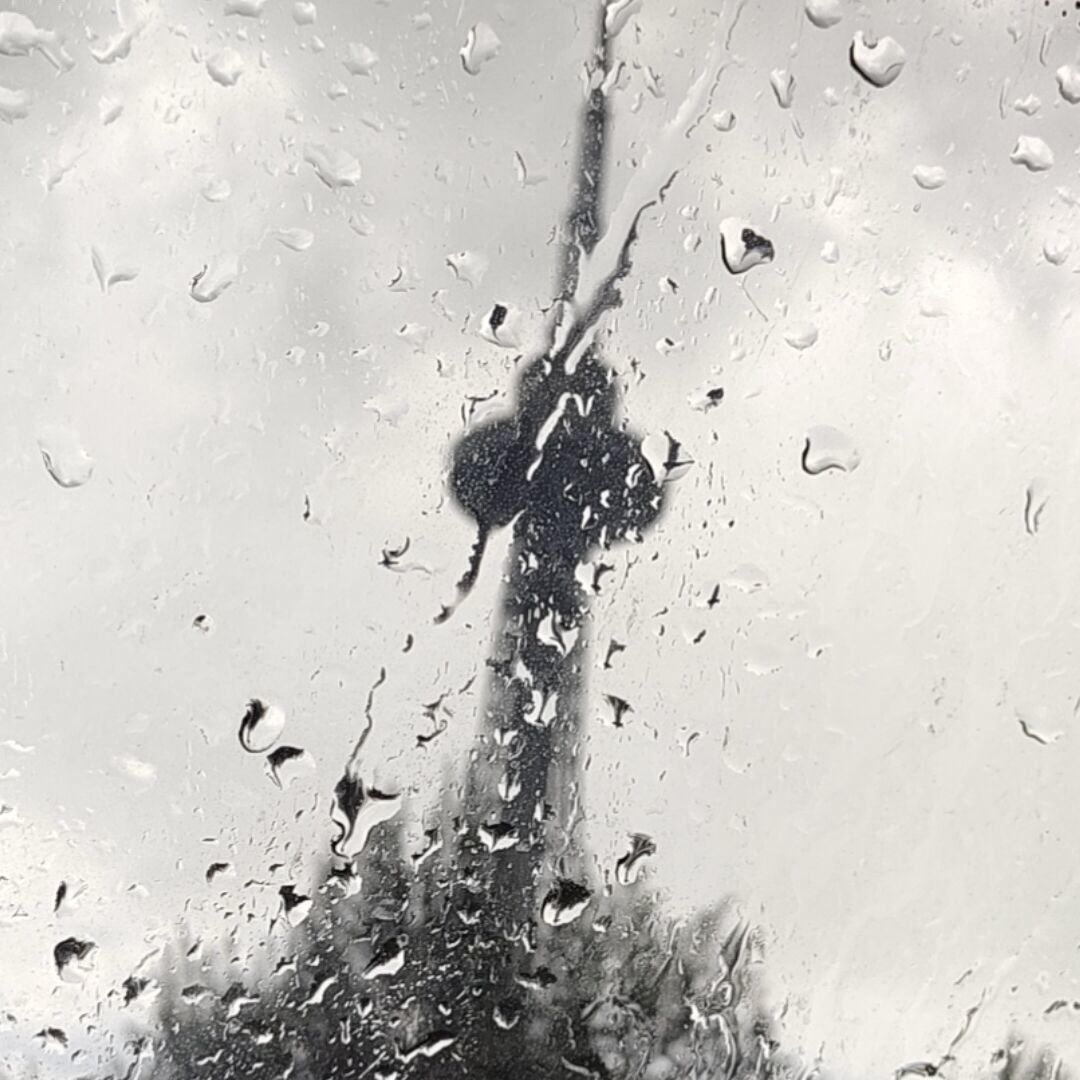 大虫