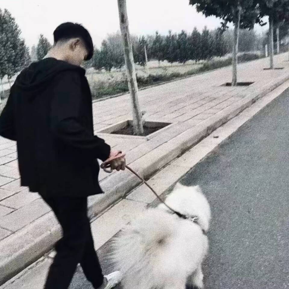 qq_小帅哥34