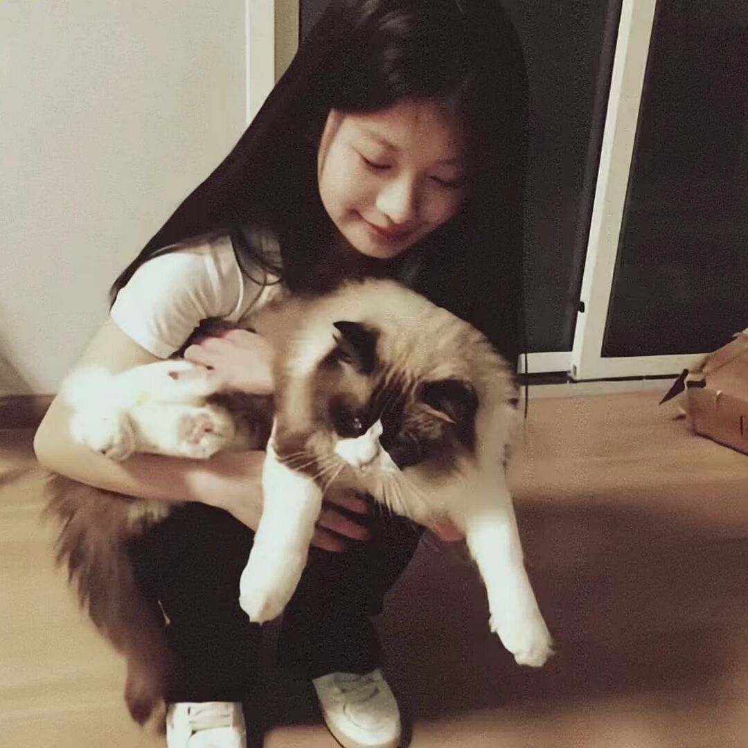 qq_你总是呆呆的、35