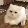 整个夏天