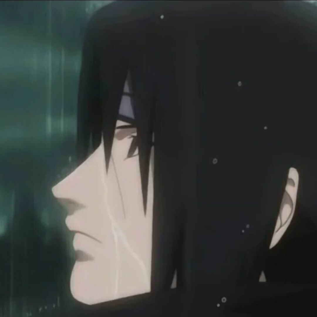 qq_∴31