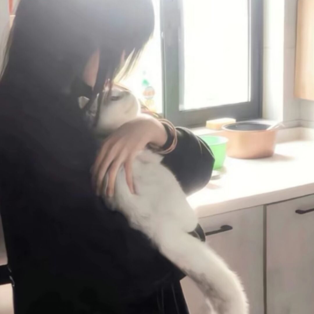 qq_小Q.44