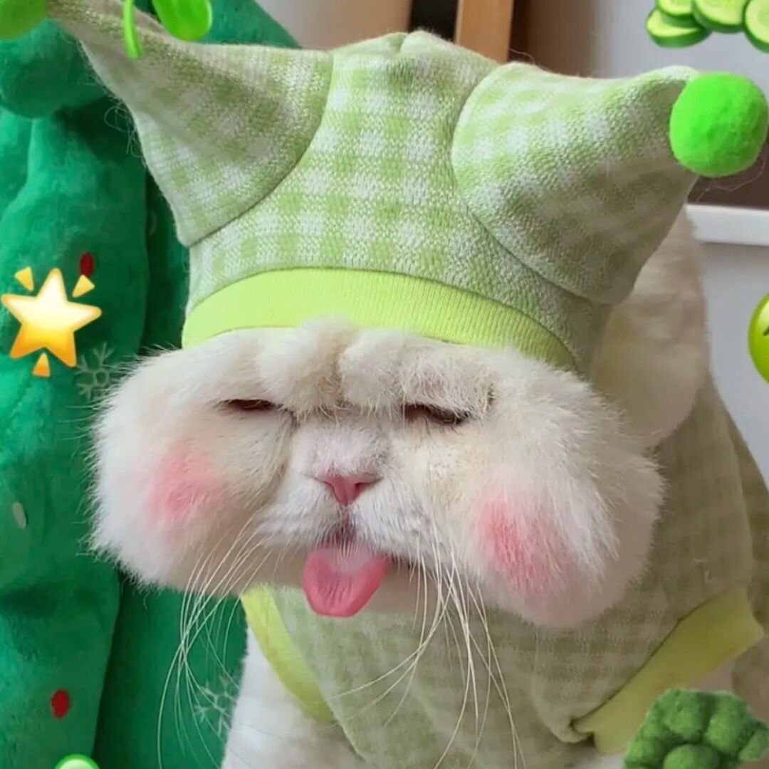 用户头像