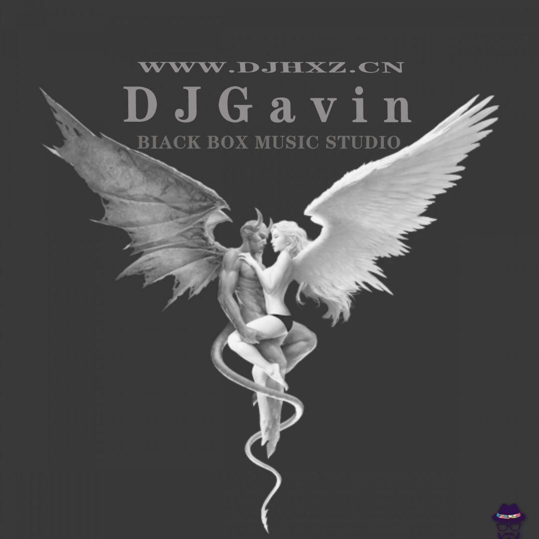 DJ Gavin