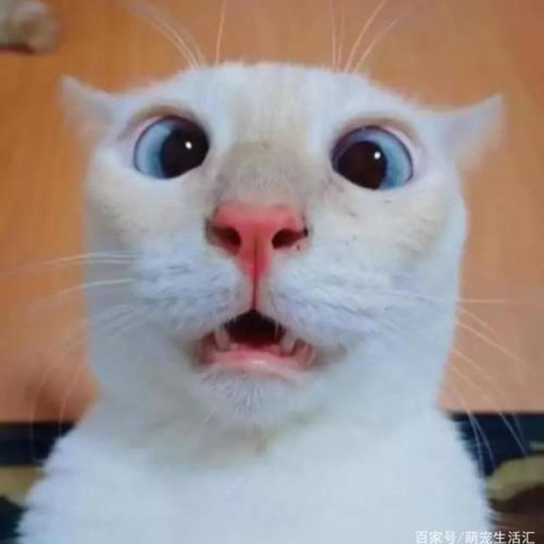 qq_何方97