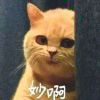 XMDR3K-【TITAIKE】T太科网
