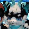逐胧fur-【TITAIKE】T太科网