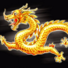 凌霄qwq-【TITAIKE】T太科网