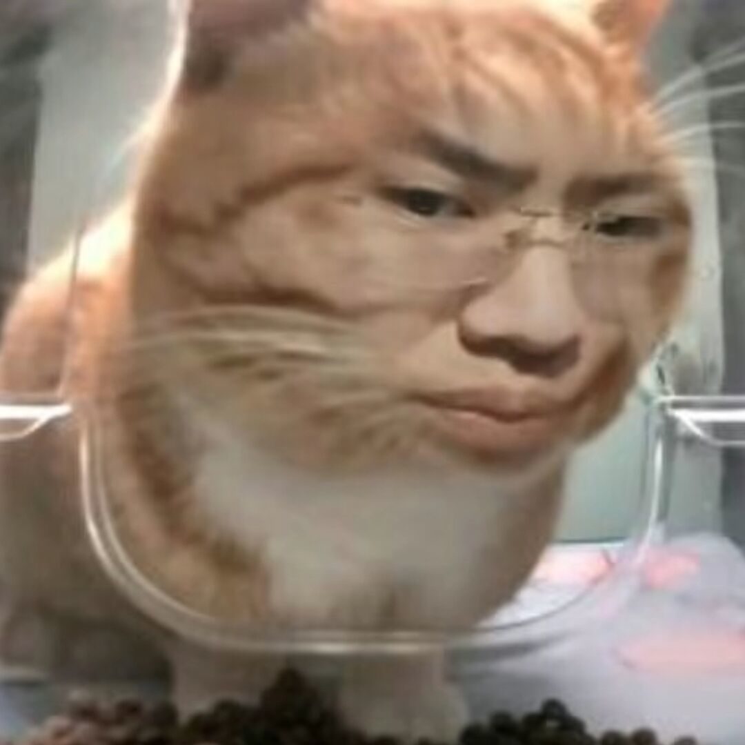 qq_。26