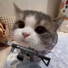 楦少-【TITAIKE】T太科网
