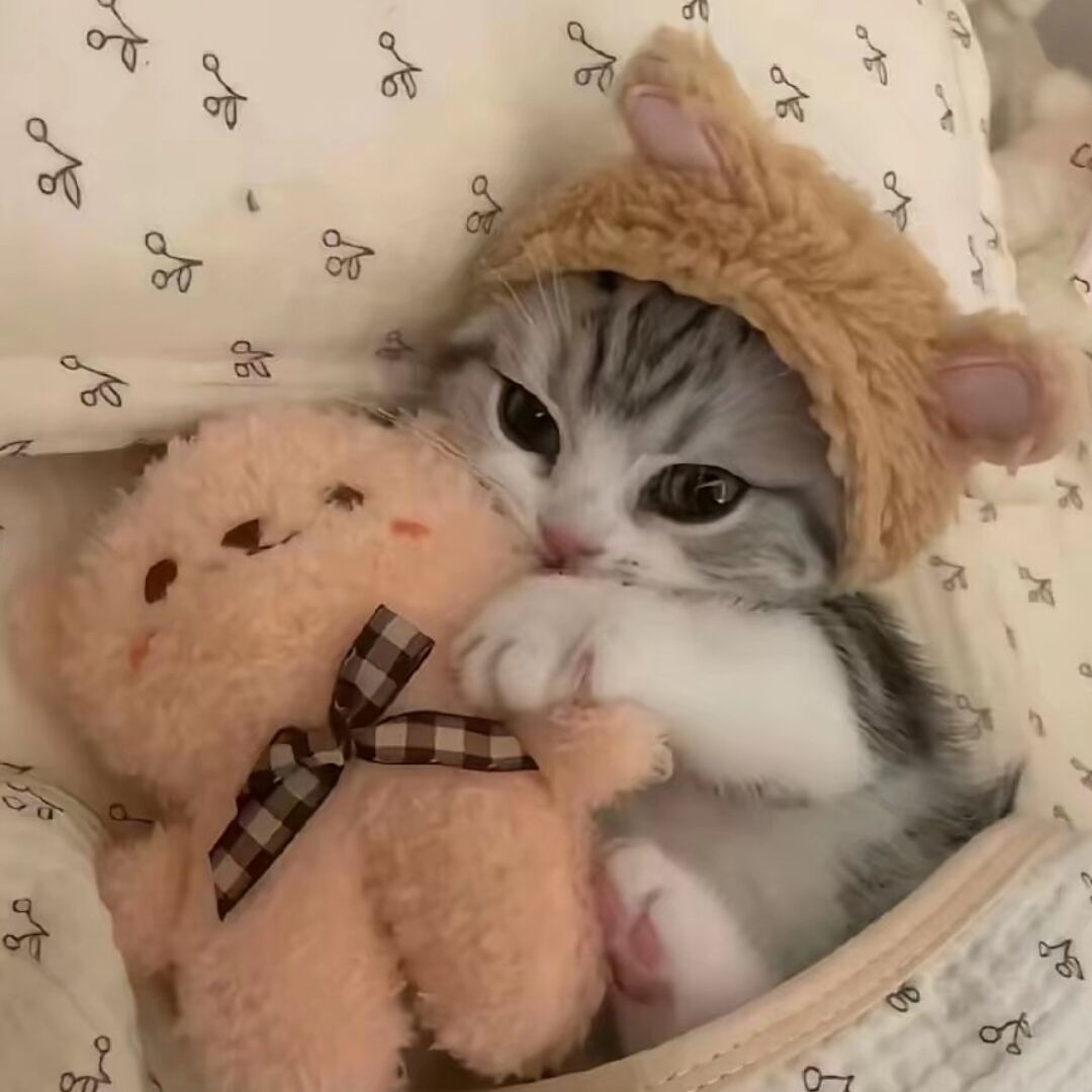 qq_TuT93