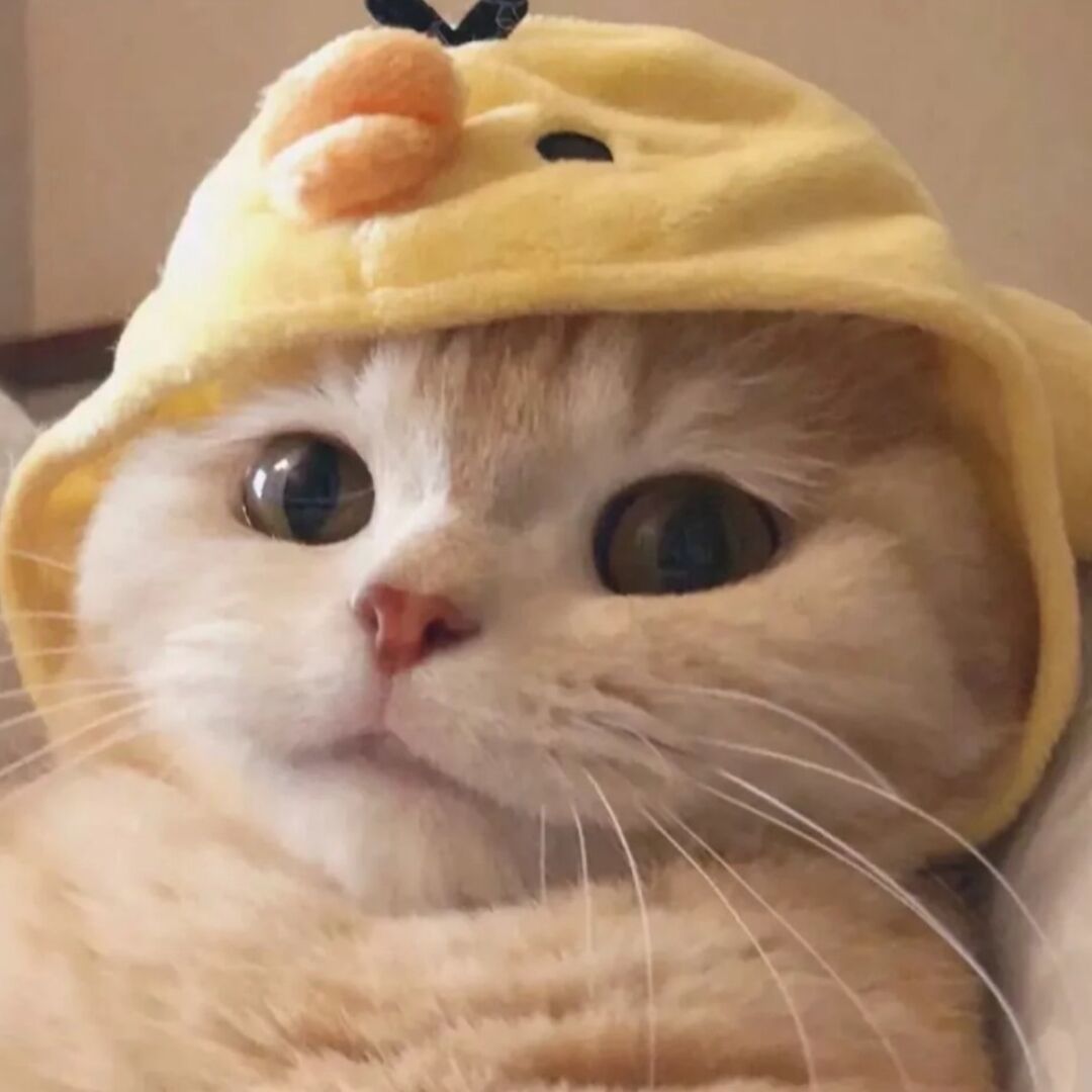 qq_Hint.89