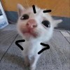 QuQQ-【TITAIKE】T太科网
