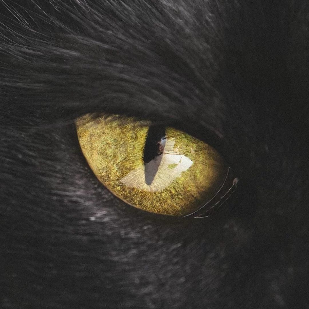qq_¥巅峰♡17