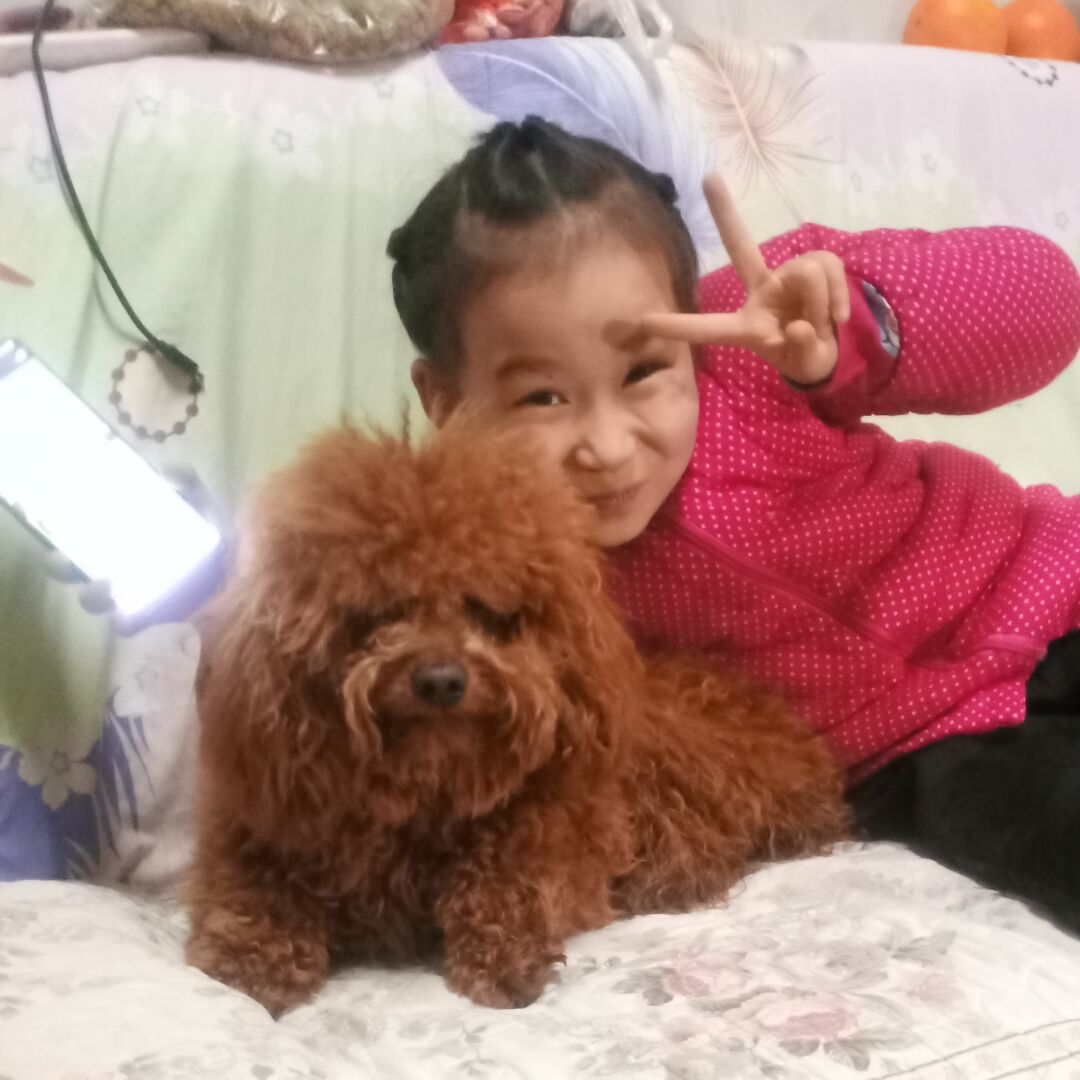 qq_12332181