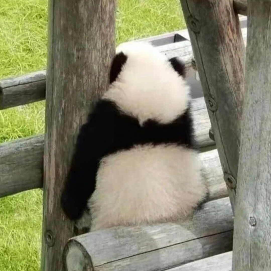 qq_墨76
